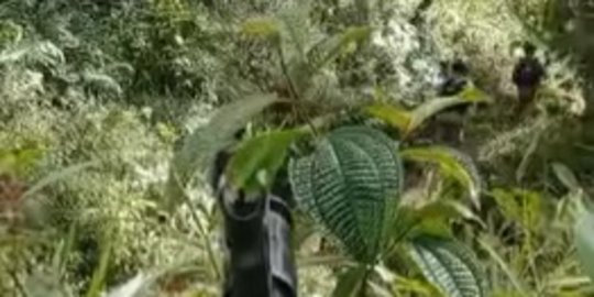 Begini Momen TNI-Polri Patroli di Hutan Papua, Suara dalam Video Curi Perhatian