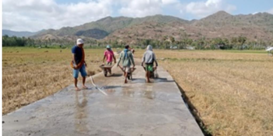 Jalan Usaha Tani Tingkatkan Perluas Jangkauan Pasar Petani di Kabupaten Bima