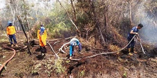 15 Titik Panas Terpantau di Sumatera Utara