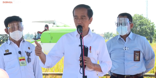 Ekspor 7 Kontainer Pinang Biji, Jokowi: Bisa Beri Pemasukan ke Petani