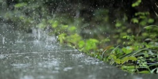 30 Kata-kata Hujan Lucu, Inspiratif dan Menghibur