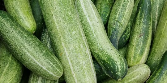 8 Manfaat Timun untuk Kulit Wajah, Bantu Lembapkan dan Cegah Radikal Bebas