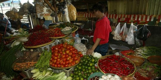 Inflasi RI Lebih Normal Dibanding AS 7,9 Persen Hingga Turki 54,4 Persen