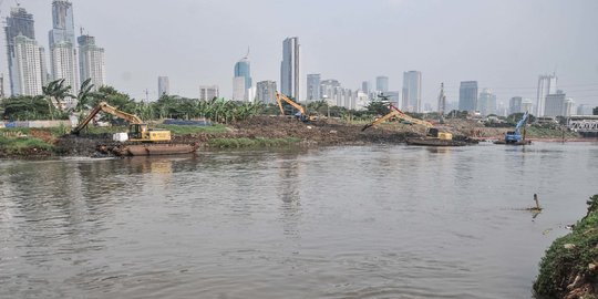 Walhi: Pencemaran Sungai di Jakarta Berada pada Fase Sedang dan Berat