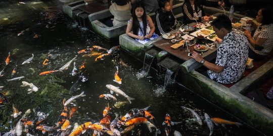 Sensasi Unik Makan di Restoran Bertema Ikan
