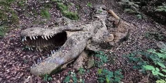 CEK FAKTA: Hoaks, Mumi Dinosaurus Appalachiosaurus Ditemukan di Tennessee