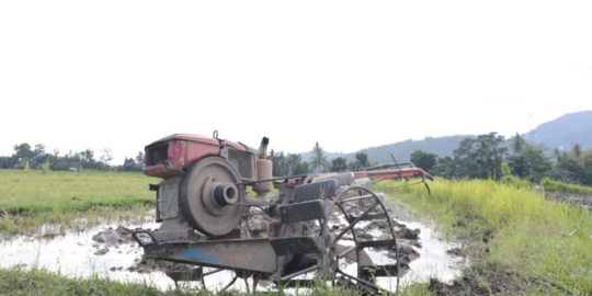 Prasarana dan Sarana Pertanian Jadi Kunci Sukses Ketersediaan Pangan