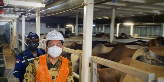 kepala badan pangan: kita bisa beli lahan di luar negeri untuk produksi pangan