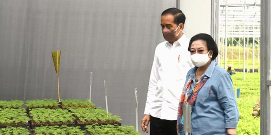 Curhat ke Jokowi, Megawati Malu Diberi Banyak Jabatan