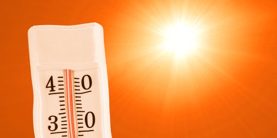 Penyebab Gelombang Panas dan Dampaknya Bagi Makhluk Hidup yang Tak Boleh Disepelekan