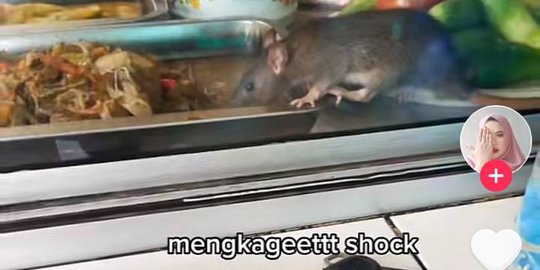 Viral Ibu Hamil Makan di Warteg di Depannya Ada Tikus, Begini Reaksinya