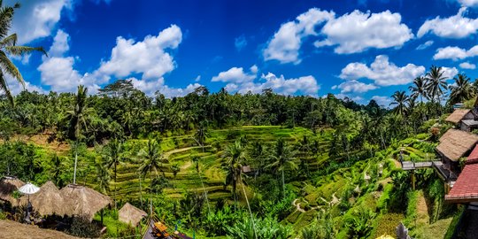 Rayakan Hari Bumi, 5 Destinasi Ekowisata di Indonesia Ini Bisa Dikunjungi