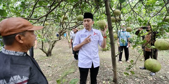 Bertemu Ibas, Petani Jeruk di Magetan Keluhan Sulitnya Peroleh Pupuk Subsidi