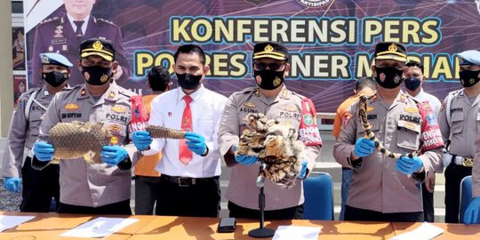 Jual Kulit Harimau hingga Sisik Tenggiling, Dua PNS di Aceh Ditangkap