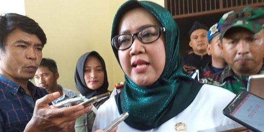 Karir Politik Bupati Bogor Ade Yasin sebelum Terjaring OTT KPK