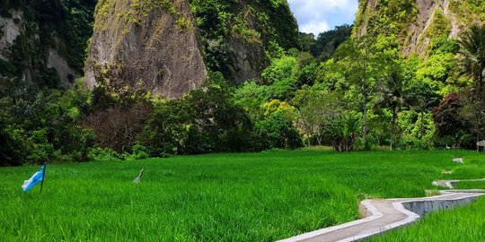 10 Wisata Bukittinggi Populer, Punya Pemandangan Menakjubkan