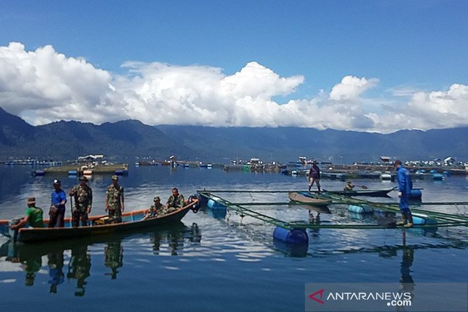 lima ton ikan di danau maninjau mati mendadak