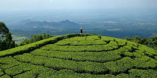 5 Wisata Ngawi yang Murah dan Instagramable, Lengkap dengan Harga Tiket Masuknya