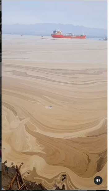 laut teluk bima berubah jadi 039padang pasir039