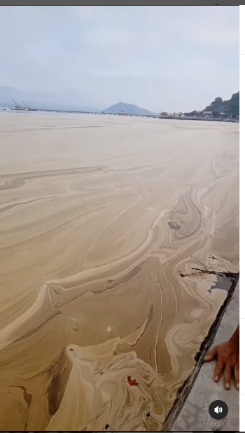 laut teluk bima berubah jadi 039padang pasir039