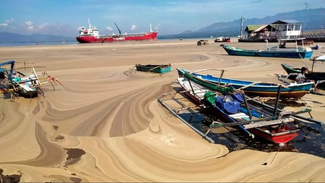 teluk bima di ntb berubah warna jadi cokelat begini potretnya yang viral
