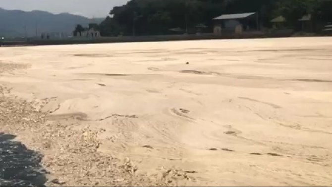teluk bima di ntb berubah warna jadi cokelat begini potretnya yang viral