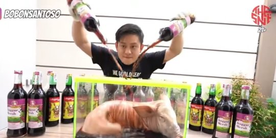 Begini Jadinya Jika Babi Direndam Anggur Merah, Hasilnya Mengejutkan