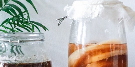 Kombucha Aman Dikonsumsi Anak? Simak Fakta Berikut