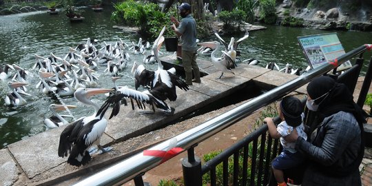 Taman Margasatwa Ragunan Buka Hari Kedua Lebaran, Simak Syarat Masuk dan Aturannya