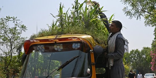 Cara Unik Sopir Bajaj di India Menjaga Penumpangnya Agar Tetap Sejuk