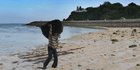 Kehidupan Pengumpul Rumput Laut yang Masih Bertahan di Nusa Dua Bali