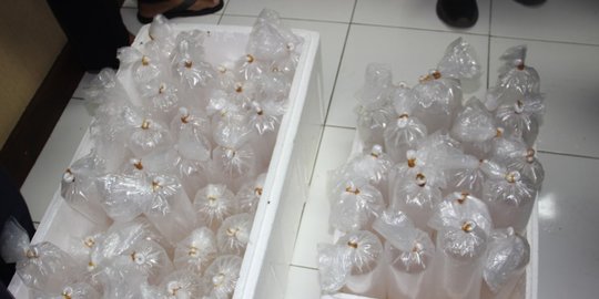 penjara 8 tahun rev1