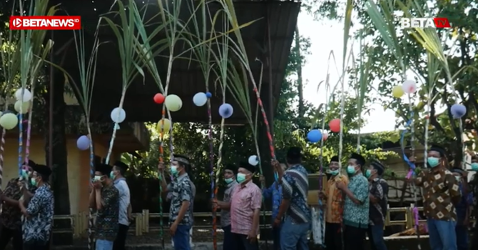 temanten tebu