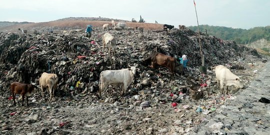 Blokade TPST Piyungan Dibuka, Butuh Sepekan Bersihkan Tumpukan Sampah di Yogyakarta