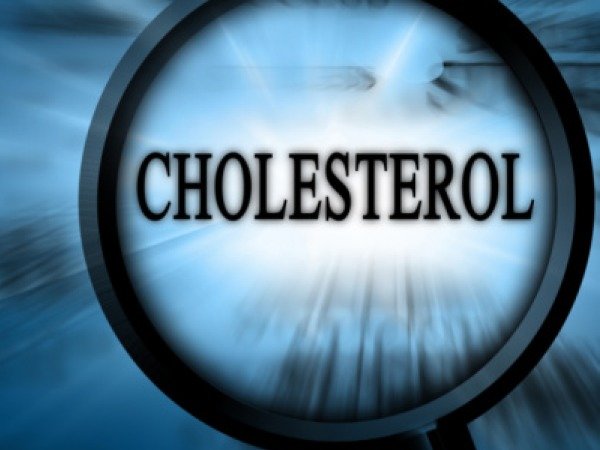 ilustrasi kolesterol