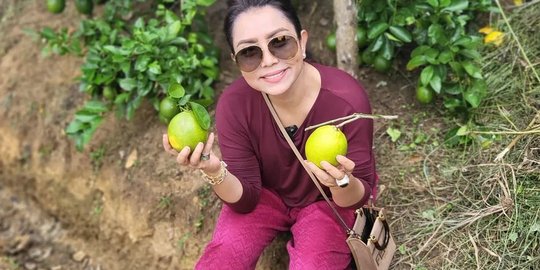 Potret Mayangsari saat Panen Jeruk, Tas Branded yang Dibawa Bikin Salfok