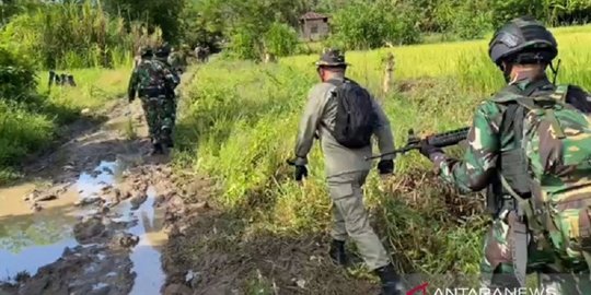 Keamanan Berangsur Membaik, TNI Mulai Tarik Prajurit dari Satgas Madago Raya di Poso