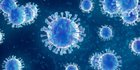 Peneliti Ungkap Kemungkinan Asal Muasal Penyakit Hepatitis Akut