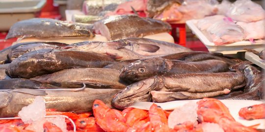 Sering Mengonsumsi Makanan Mentah Dapat Membahayakan Tubuh, Simak Penjelasannya