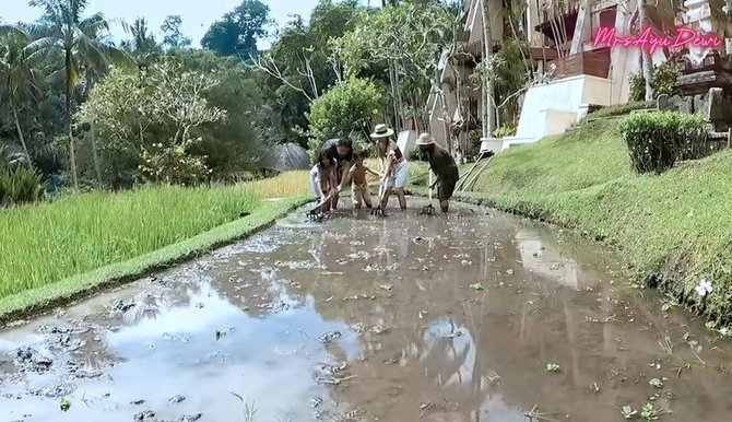 main di sawah intip momen seru liburan keluarga ayu dewi di bali