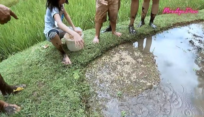 main di sawah intip momen seru liburan keluarga ayu dewi di bali