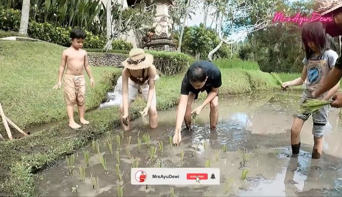 main di sawah intip momen seru liburan keluarga ayu dewi di bali