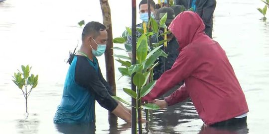 sudah dilakukan indonesia rev3