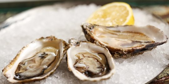 6 Resep Olahan Oyster Simple ala Rumahan, Lezat dan Menggugah Selera