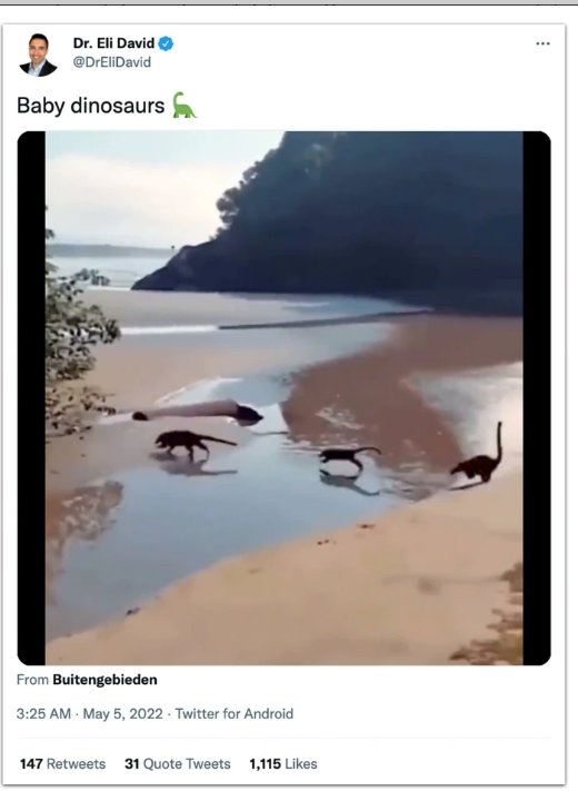 hoaks video menampilkan bayi dinosaurus