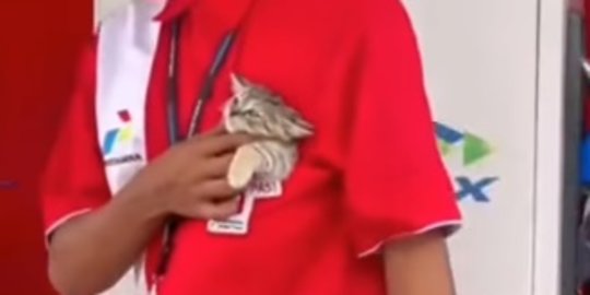 Lucu dan Menggemaskan, Aksi Kucing Temani Jaga SPBU Ini Curi Perhatian