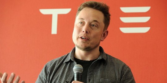 Negosiasi Menko Luhut Tawarkan Industri Hijau Kaltara ke Elon Musk