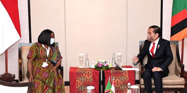 Jokowi dan Wapres Zambia Bahas Penguatan Kerja Sama Ekonomi