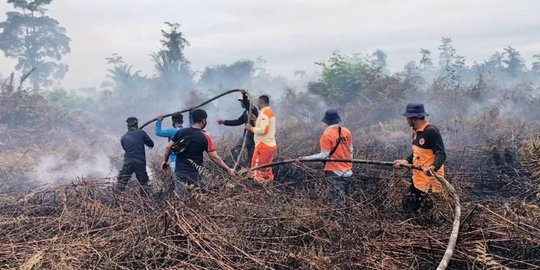 Tujuh Hektare Lahan Gambut di Nagan Raya Terbakar