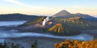 Menikmati Kehangatan Mentari Pagi Bromo dan Pesona Bambu di Desa Wisata Sanankerto